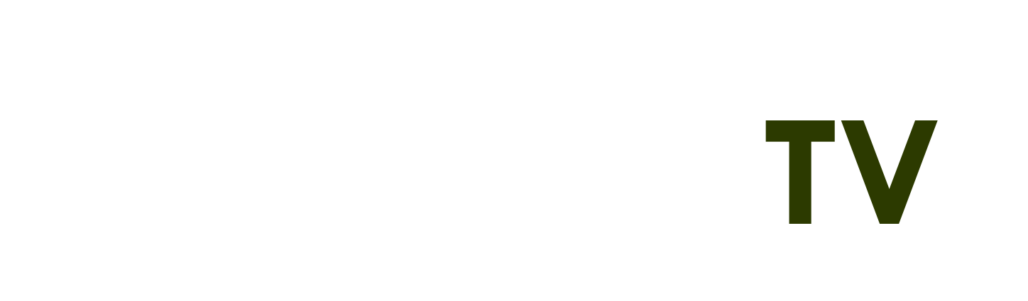 Rau Chùm Ngây - suy thận cấp